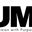 Lumeglasses.com logo